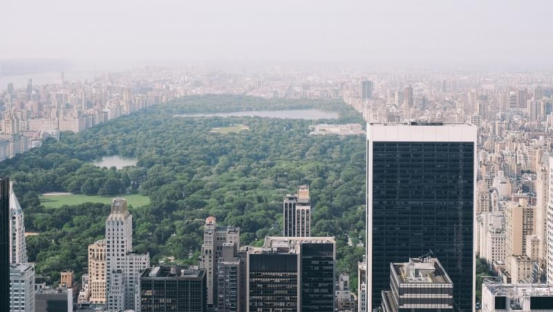 SDG 11 - Transform the city : future thinking put into practice