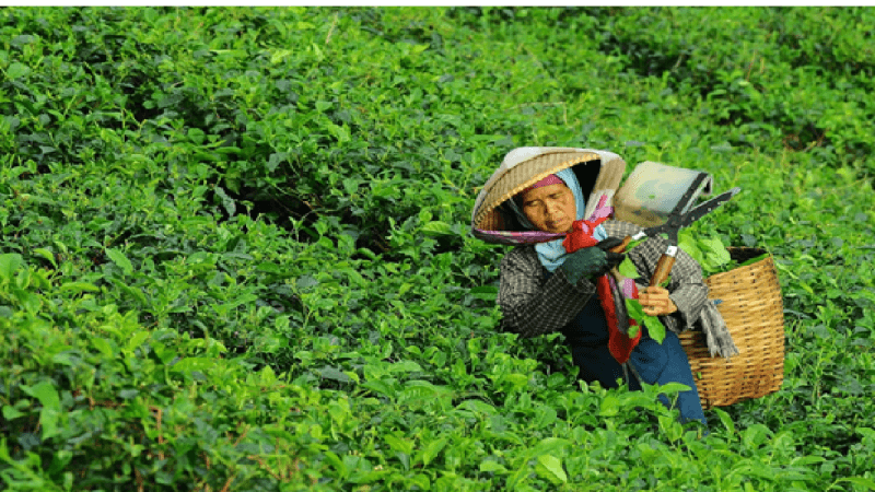 SDG 10 - Wees bewust, koop bewust